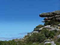 Table Mountain National Park